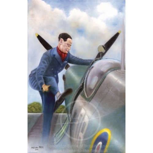 douglas-bader-malcolm-pettit 1933497307